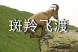 《斑羚飛渡》讀后感2000字