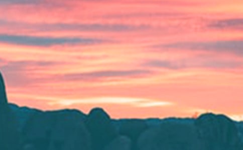 鄉(xiāng)村的傍晚500字作文