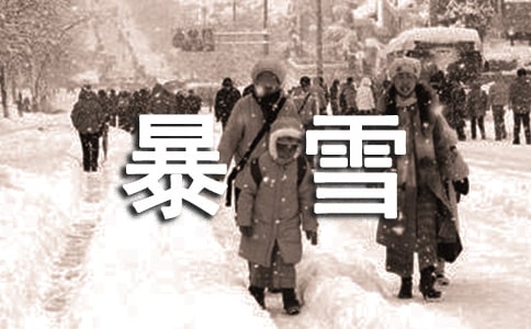 《大暴雪》讀后感900字作文