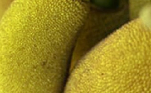 ���}�ۺ���ɏ��ʲô�^(q��)�e