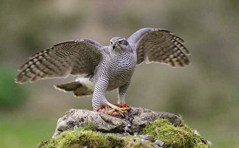 ��־���£��܂����n��