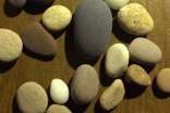 勵(lì)志文章:鵝卵石的故事