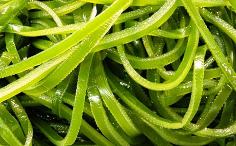 海帶的功效與禁忌