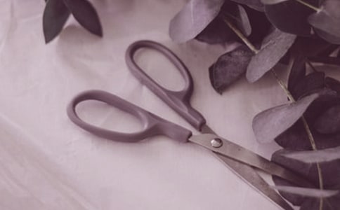 電影剪刀手愛德華中的臺詞