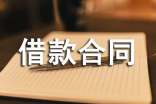 民間個人借款合同范例
