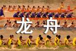 賽龍舟觀察日記