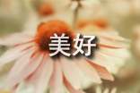 2016經(jīng)典美好賀詞