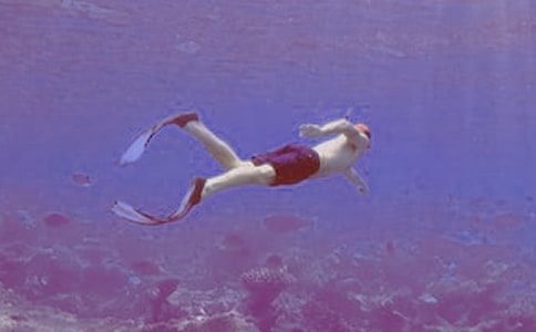 最新初學(xué)者七個潛水常識