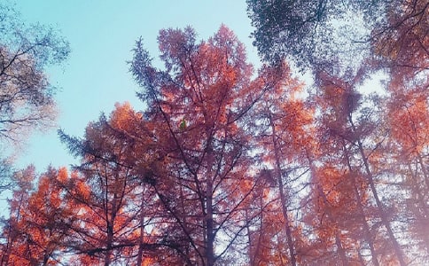 ���_�����(m��ng)�ش�����־