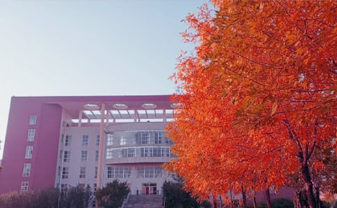 情感日志:秋日感懷