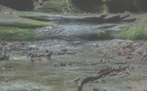 小溪流水嘩啦啦小學作文300字(通用41篇)