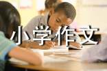2016小學(xué)作文評(píng)語(yǔ):作文開(kāi)頭評(píng)語(yǔ)