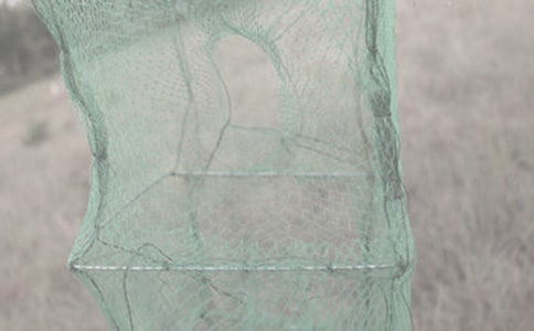 漁網(wǎng)愛情中學(xué)作文600字