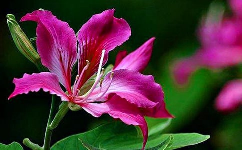 ����(y��u)�㣩���G������500��