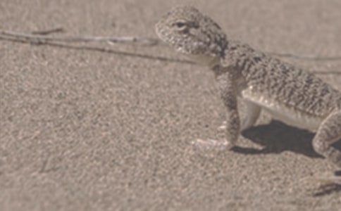 ��(j��ng)���־���¡������ʹ�c����