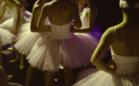 學芭蕾舞作文400字