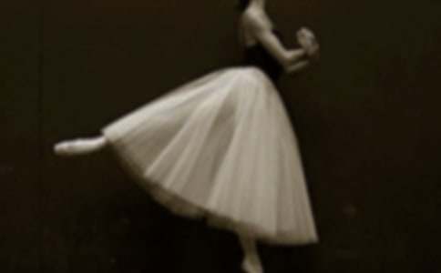 ����İ�������