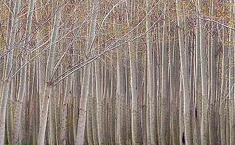 [���A]�ח������8ƪ