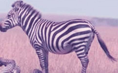 �Y׌���R����������