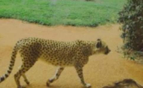 �R�ͱ������꼉(j��)����