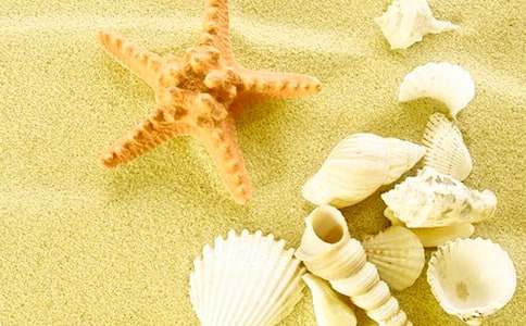 撿貝殼作文10篇(熱)