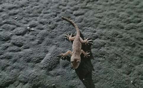 �P�ڱڻ��l(f��)�F(xi��n)����3ƪ