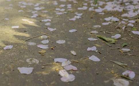 ��������800��