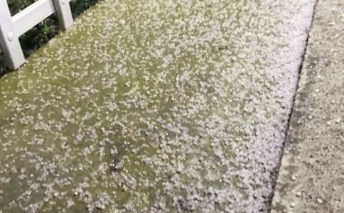 �����A����������300��25ƪ