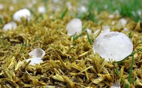 ��������400�֣�ͨ��65ƪ��