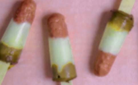 買冰棍作文500字