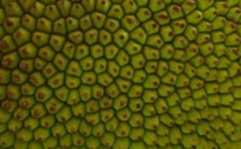 ���}�����ķ���