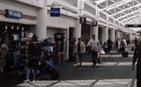 參觀蔬菜博覽會敘事作文300字