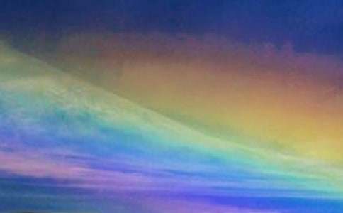 心中的彩虹作文800字(精選60篇)