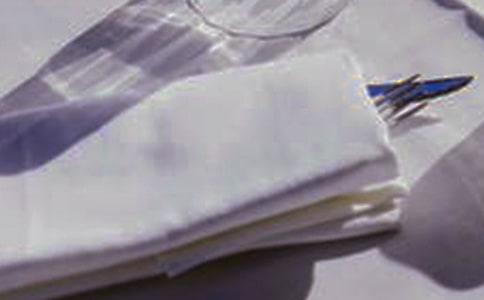 一張餐巾紙的旅行作文(11篇)