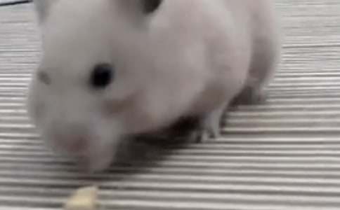 �ҵĂ}(c��ng)������