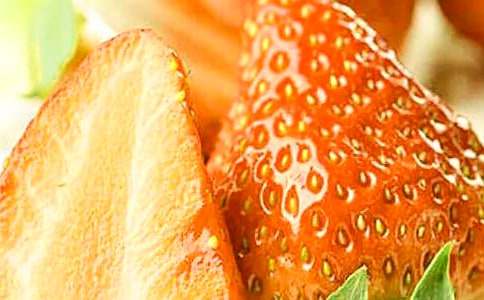 摘草莓作文800字(精選14篇)