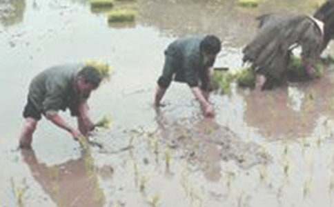 ���|�c������ɢ��Ԋ