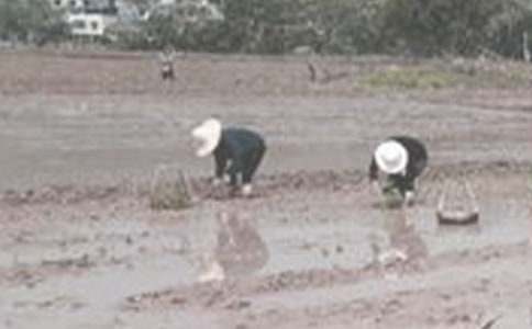 ��һ�β�������