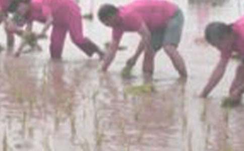 ��������600�֣����x35ƪ��