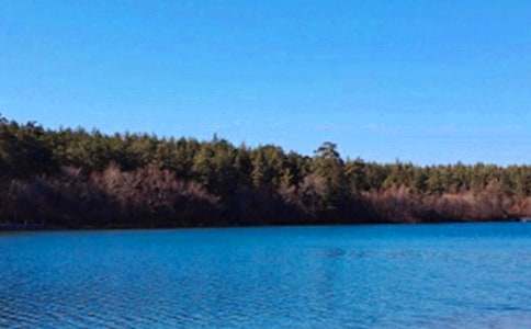 描寫長(zhǎng)白山天池的景色作文(精選21篇)