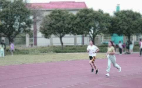 800米長(zhǎng)跑作文600字(通用9篇)