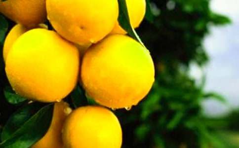 ���x��������400��22ƪ