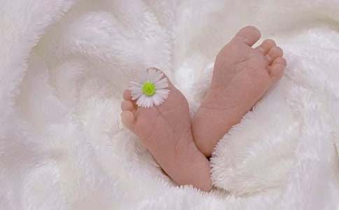 活出生命的精彩作文(精選48篇)