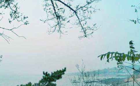 2016���L(f��ng)����