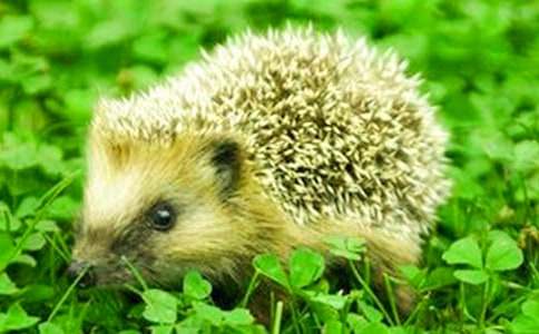 ��؂�ʹ������