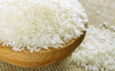 小馬背大米作文