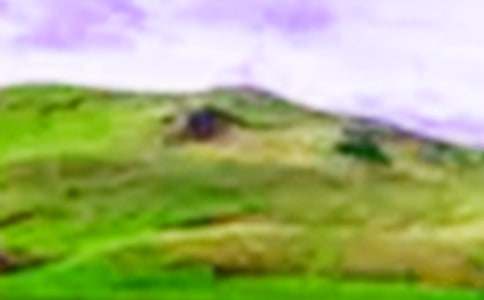 我心中的那一座大山優(yōu)秀作文