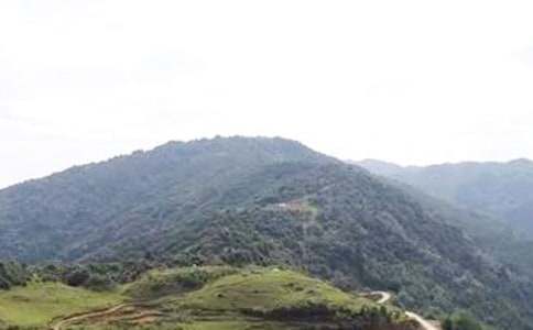 描寫(xiě)雪后的大山作文(精選15篇)