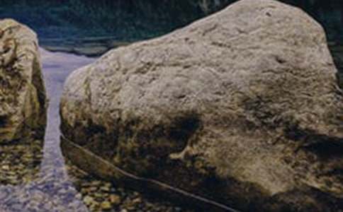 大石頭和小石頭的想象作文