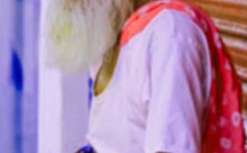 狼大叔的紅燜雞作文